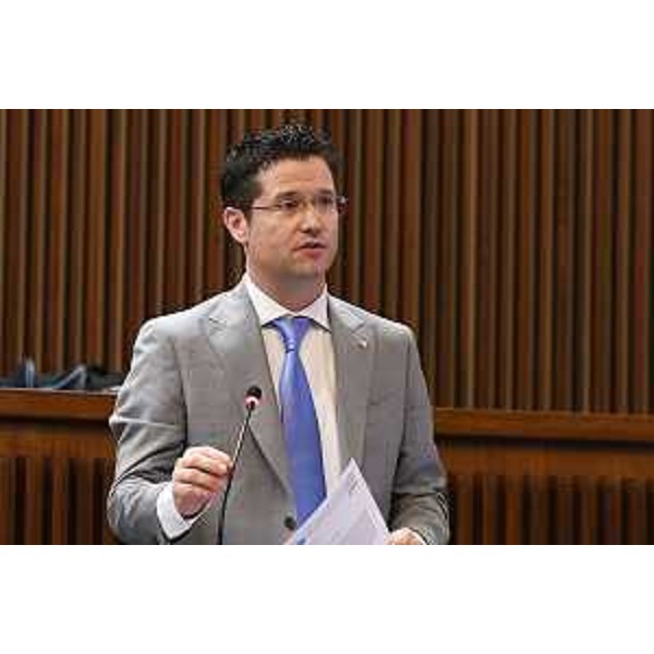 Markus Maurmair (FdI) - Markus Maurmair (FdI)