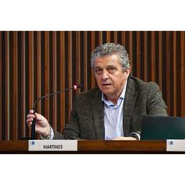 Francesco Martines (Pd) - Francesco Martines (Pd)