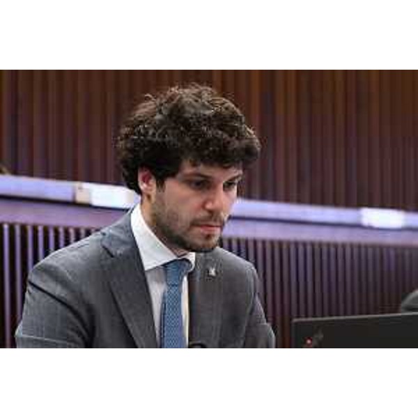 Simone Polesello (Fedriga presidente) - Simone Polesello (Fedriga presidente)