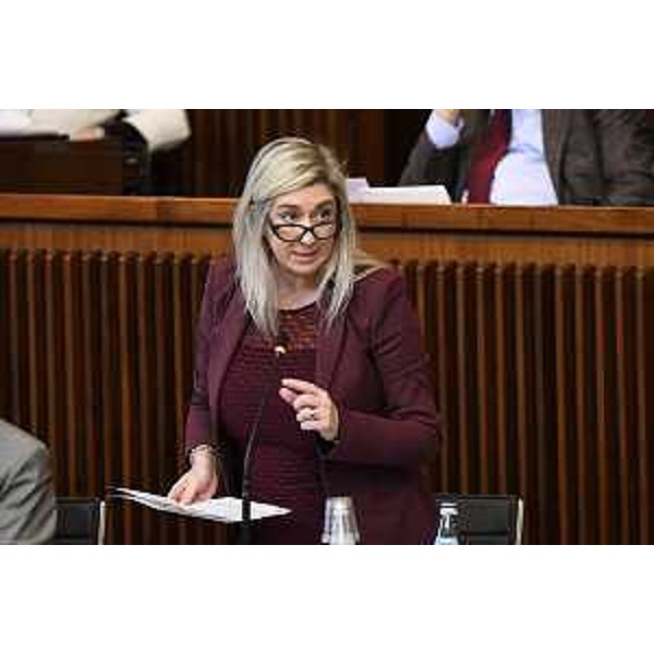 L'assessore Fvg a Infrastrutture e Territorio, Cristina Amirante - L'assessore Fvg a Infrastrutture e Territorio, Cristina Amirante