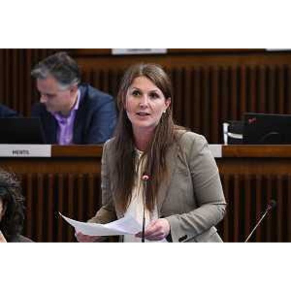 Rosaria Capozzi (M5S) - Rosaria Capozzi (M5S)