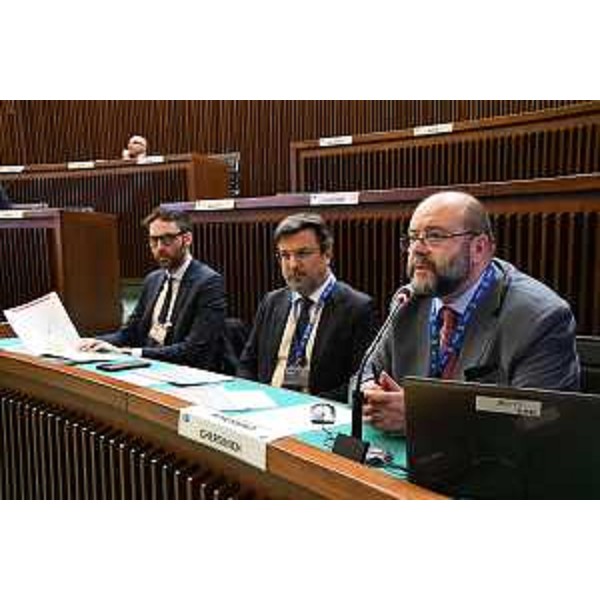 Alcuni degli di auditi in Commissione - Alcuni degli di auditi in Commissione