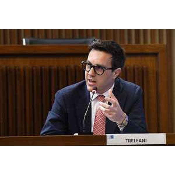 Igor Treleani(FdI) - Igor Treleani(FdI)