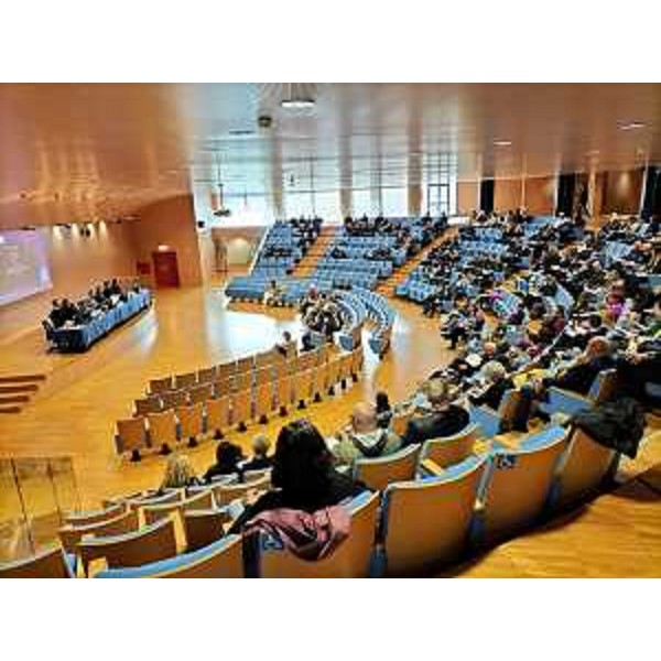 Il seminario sulla Violenza di genere all'auditorium Comelli della sede della Regione a Udine - Il seminario sulla Violenza di genere all'auditorium Comelli della sede della Regione a Udine