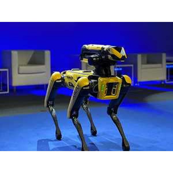 Un'altra immagine del cane robot "Spot". - Un'altra immagine del cane robot "Spot".