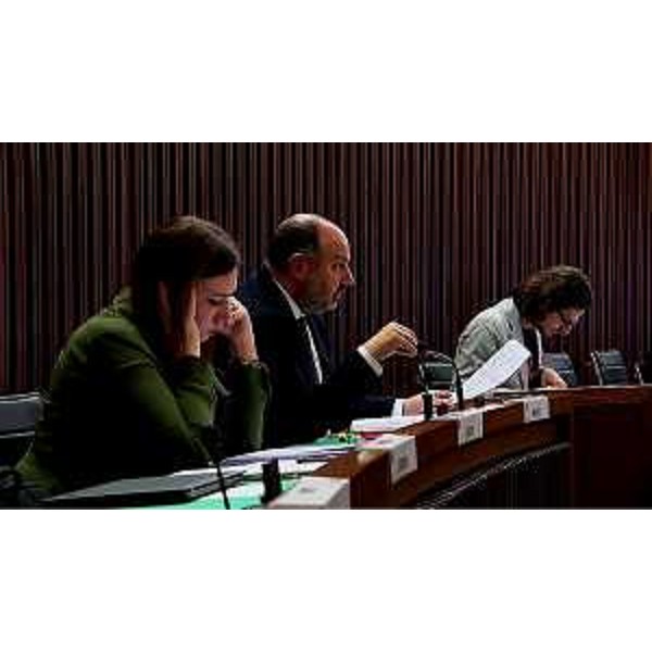 Manuela Celotti (Pd), Diego Moretti (Pd), Enrico Bullian (Patto per l'Autonomia-Civica Fvg) - Manuela Celotti (Pd), Diego Moretti (Pd), Enrico Bullian (Patto per l'Autonomia-Civica Fvg)