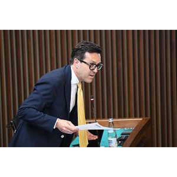 Igor Treleani (FdI) - Igor Treleani (FdI)