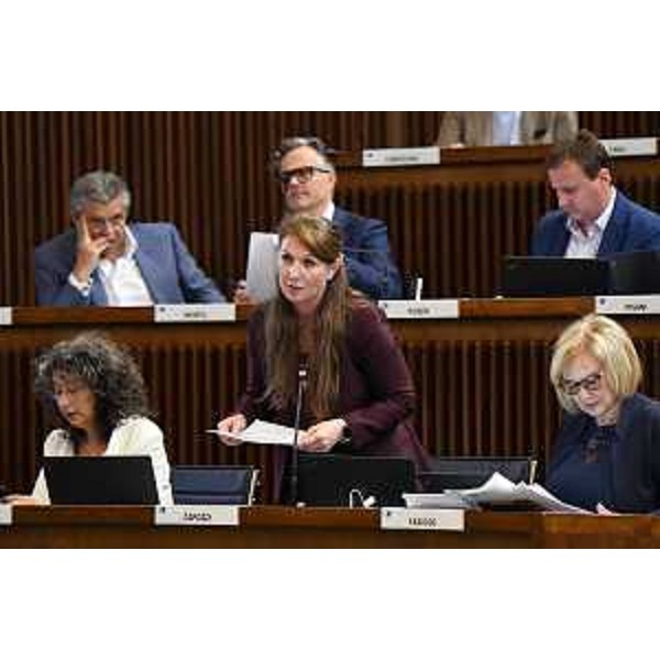 L'intervento in aula di Rosaria Capozzi (M5S) - L'intervento in aula di Rosaria Capozzi (M5S)