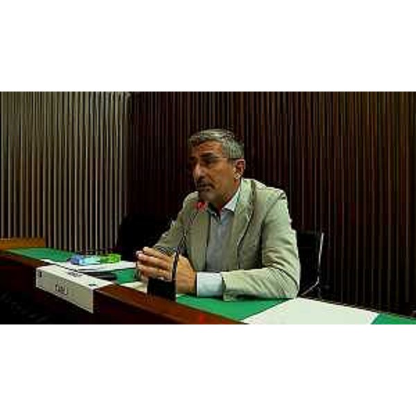 Andrea Carli (Pd) - Andrea Carli (Pd)