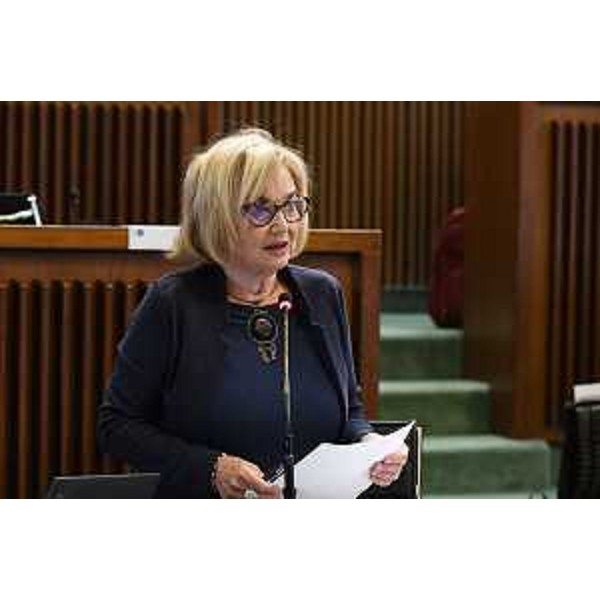 Laura Fasiolo (Pd) - Laura Fasiolo (Pd)