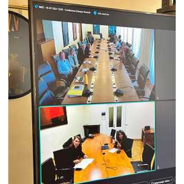 I partecipanti a Trieste e le consigliere Capozzi (M5S) e Pellegrino (Avs) in videoconferenza - I partecipanti a Trieste e le consigliere Capozzi (M5S) e Pellegrino (Avs) in videoconferenza