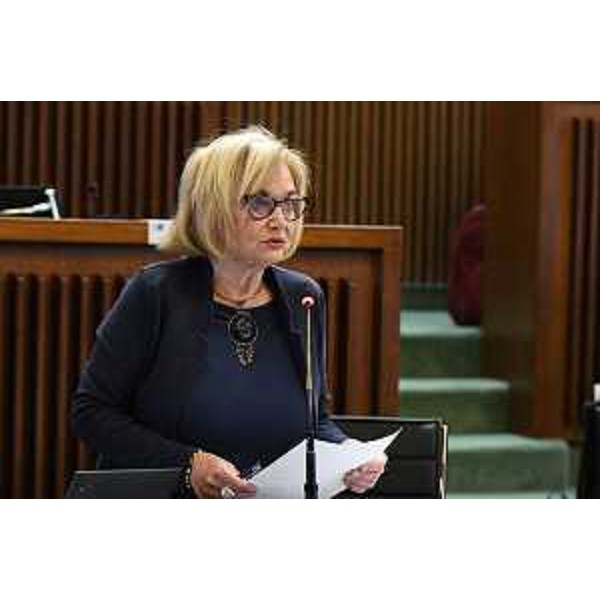 Laura Fasiolo (Partito democratico) - Laura Fasiolo (Partito democratico)