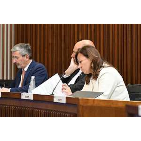 Manuela Celotti e Andrea Carli (Pd) - Manuela Celotti e Andrea Carli (Pd)