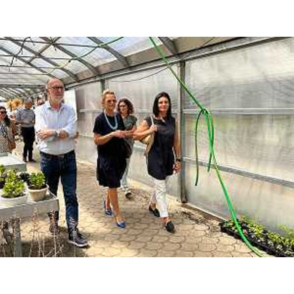 Visita alle serre. - Visita alle serre.