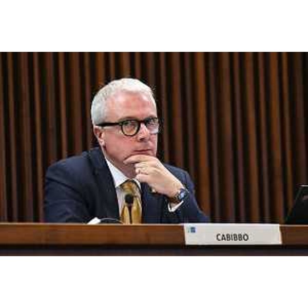 Andrea Cabibbo (FI) - Andrea Cabibbo (FI)