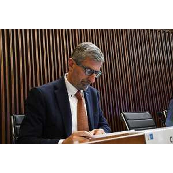 Andrea Carli (Pd) - Andrea Carli (Pd)