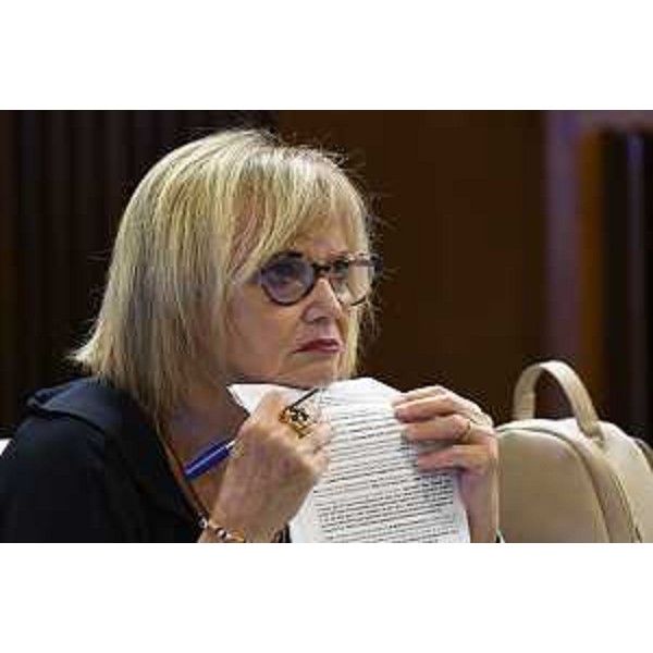 Laura Fasiolo (Pd) - Laura Fasiolo (Pd)