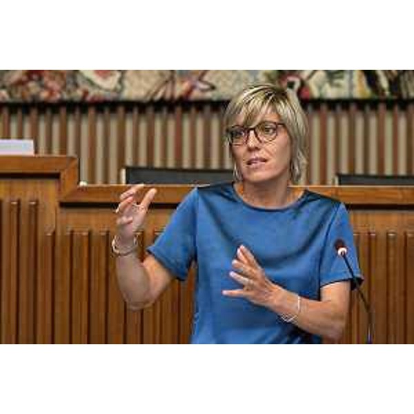 L'intervento in Aula oggi dell'assessore regionale alle Finanze Barbara Zilli nel corso dei lavori della I Commissione integrata - L'intervento in Aula oggi dell'assessore regionale alle Finanze Barbara Zilli nel corso dei lavori della I Commissione integrata 