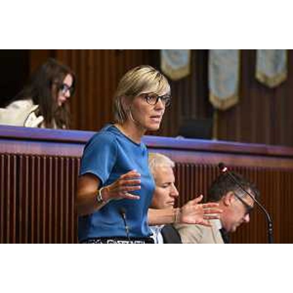 L'assessore regionale alle Finanze, Barbara Zilli, ha illustrato l'art 6 al posto del collega Mario Anzil - L'assessore regionale alle Finanze, Barbara Zilli, ha illustrato l'art 6 al posto del collega Mario Anzil