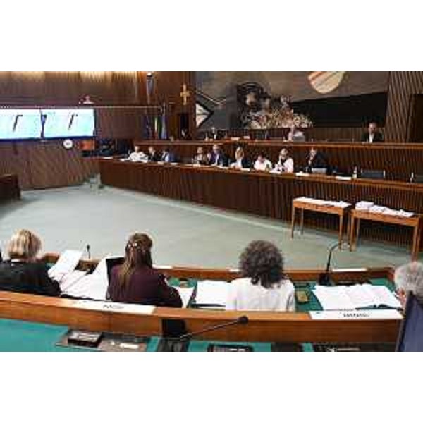 I lavori della I Commissione durante l'esposizione dell'art 5 - I lavori della I Commissione durante l'esposizione dell'art 5