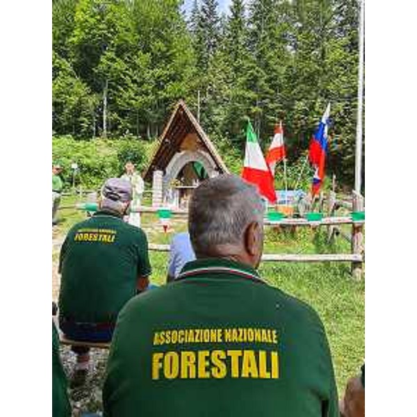 Forestali a Malborghetto-Valbruna - Forestali a Malborghetto-Valbruna