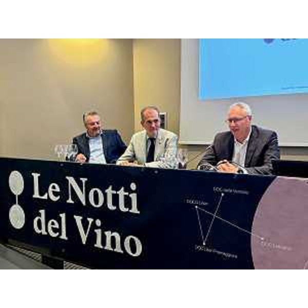 Da destra: il presidente del Cr Fvg Mauro Bordin, il coordinatore Città del Vino Fvg Tiziano Venturini e il consigliere regionale Diego Bernardis - Da destra: il presidente del Cr Fvg Mauro Bordin, il coordinatore Città del Vino Fvg Tiziano Venturini e il consigliere regionale Diego Bernardis