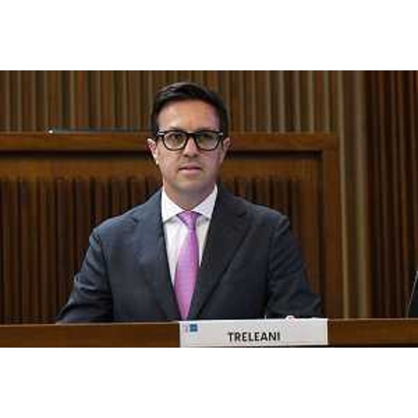 Igor Treleani (FdI) - Igor Treleani (FdI)