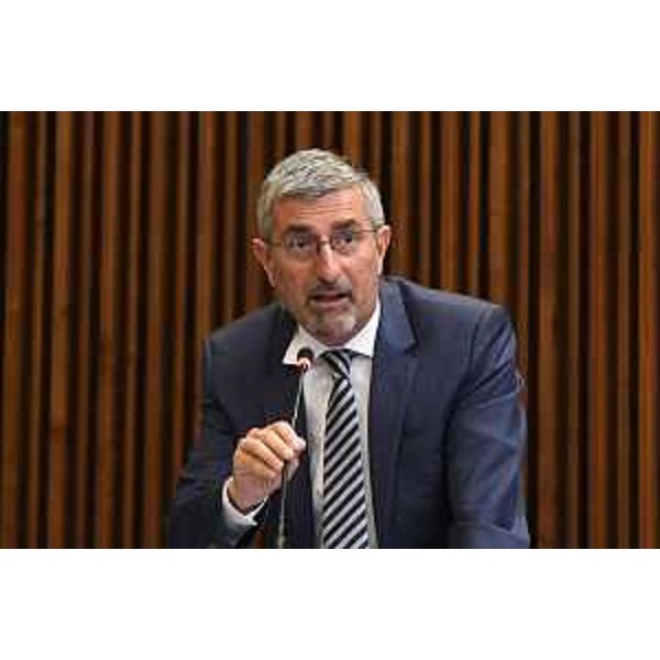 Andrea Carli (Pd) - Andrea Carli (Pd)