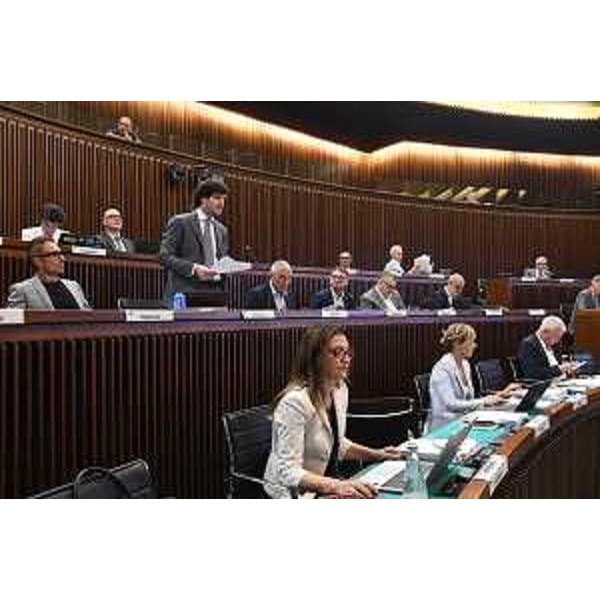 I lavori dell'Aula - I lavori dell'Aula