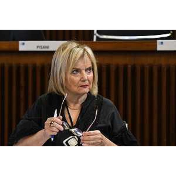 Laura Fasiolo (Pd) - Laura Fasiolo (Pd)