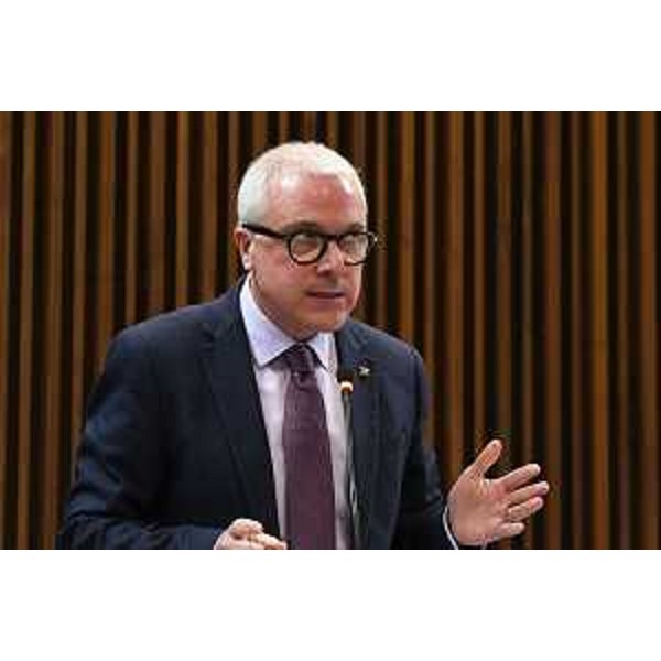 Andrea Cabibbo (FI) - Andrea Cabibbo (FI)