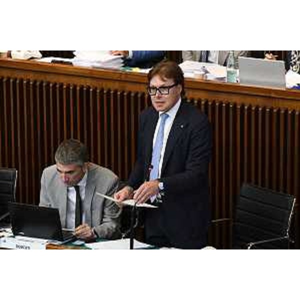 L'assessore Fvg alle Attività produttive, Sergio Emidio Bini - L'assessore Fvg alle Attività produttive, Sergio Emidio Bini