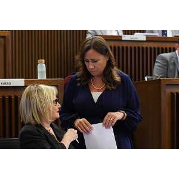 Laura Fasiolo e Manuela Celotti (Pd) - Laura Fasiolo e Manuela Celotti (Pd)