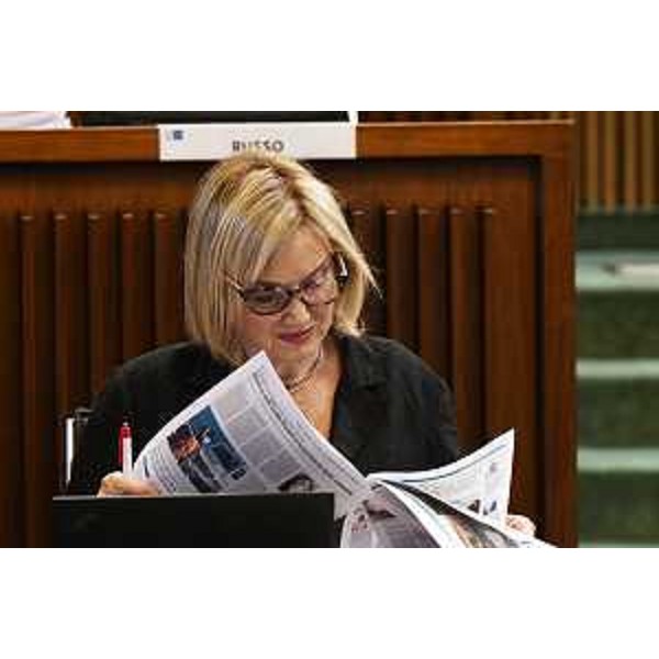 Laura Fasiolo (Pd) - Laura Fasiolo (Pd)