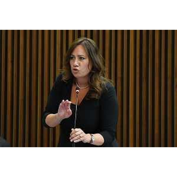 Manuela Celotti (Pd) - Manuela Celotti (Pd)