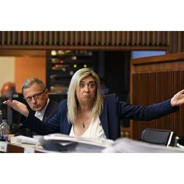 L'assessore Fvg a Infrastrutture e Territorio, Cristina Amirante, durante l'esame dell'articolo 5 dell'Assestamento - L'assessore Fvg a Infrastrutture e Territorio, Cristina Amirante, durante l'esame dell'articolo 5 dell'Assestamento