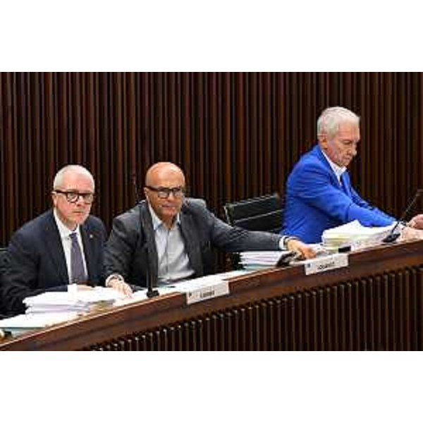 I consiglieri di Forza Italia - I consiglieri di Forza Italia