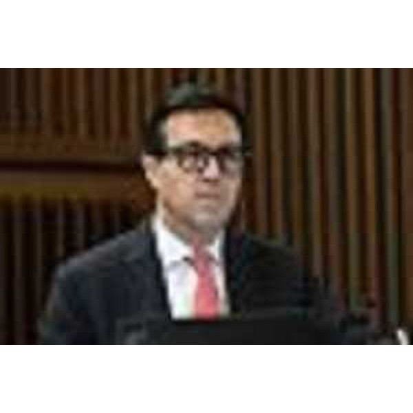 Igor Treleani (FdI) - Igor Treleani (FdI)