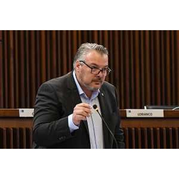 Diego Bernardis (Fedriga presidente) - Diego Bernardis (Fedriga presidente)