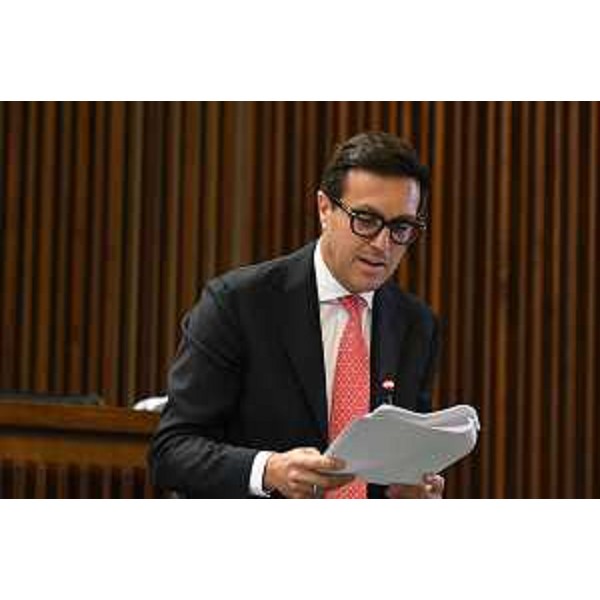 Igor Treleani (FdI) - Igor Treleani (FdI)