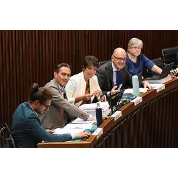 Il Gruppo Patto per l'Autonomia-Civica Fvg - Il Gruppo Patto per l'Autonomia-Civica Fvg