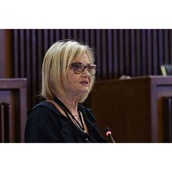 Laura Fasiolo (Pd) - Laura Fasiolo (Pd)