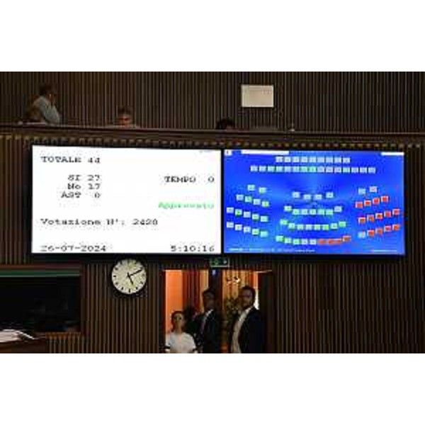 L'esito del voto finale - L'esito del voto finale