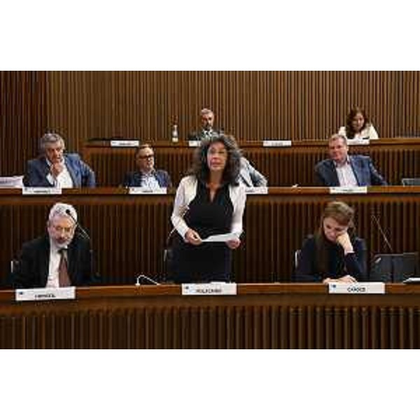 L'intervento finale di Serena Pellegrino (Avs) - L'intervento finale di Serena Pellegrino (Avs)