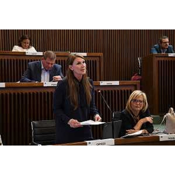 L'intervento finale di Rosaria Capozzi (M5S) - L'intervento finale di Rosaria Capozzi (M5S)