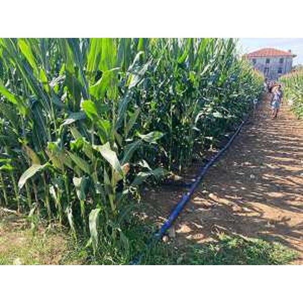 Un esempio di sistema di fertirrigazione ad alta efficienza testato da Ersa - Un esempio di sistema di fertirrigazione ad alta efficienza testato da Ersa