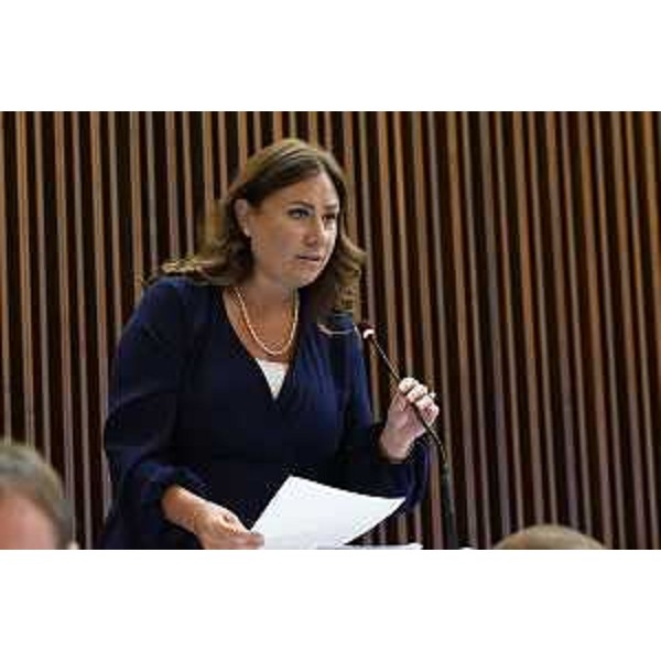 Manuela Celotti (Pd) - Manuela Celotti (Pd)