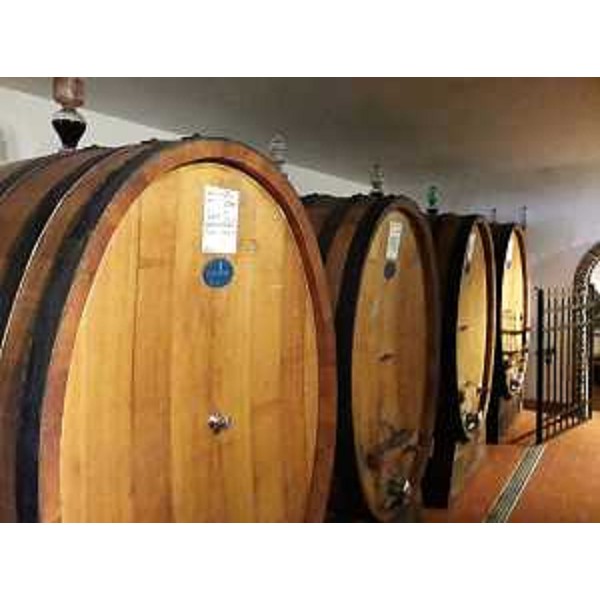 Gli interni della cantina di Dolegna del Collio. - Gli interni della cantina di Dolegna del Collio.