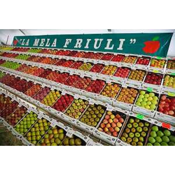 Un'esposzione di mele ad una precedente edizione della mostra regionale della mela di Pantianicco - Un'esposzione di mele ad una precedente edizione della mostra regionale della mela di Pantianicco