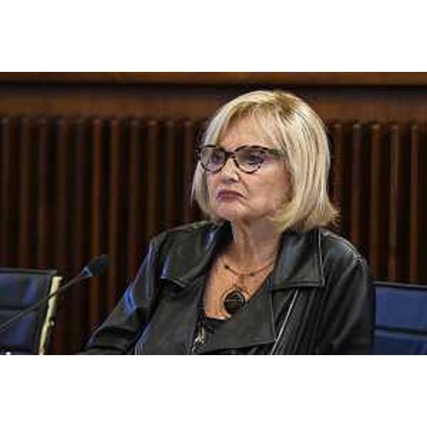 Laura Fasiolo (Pd) - Laura Fasiolo (Pd)